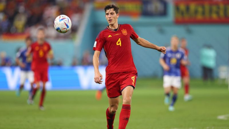 Trung vệ đáng tin cậy của Premier League